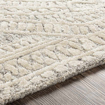 Niobo Bohemian/Global Khaki Area Rug